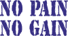 No pain no gain logo
