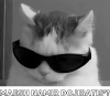 Принт