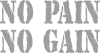 No pain no gain logo