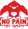 No pain no gain пингвин