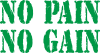 No pain no gain logo