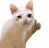 Принт