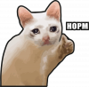 Мемный кот "Норм"