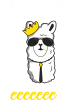 Ama llama beeetch