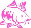Catfish