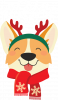 Корги Веселих Свят!
