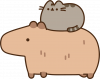 Принт