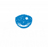 Forward Observations Group eye