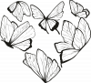 Butterfly Heart