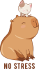 Принт
