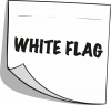 WGYRB Flag
