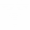 The last of us spray logo