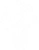 Don't touch me cactus