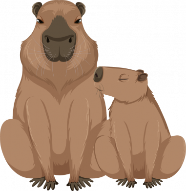 Женская футболка Две капибары 2