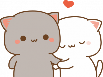 Бутылка металлическая Jumbo Пара котиков 2