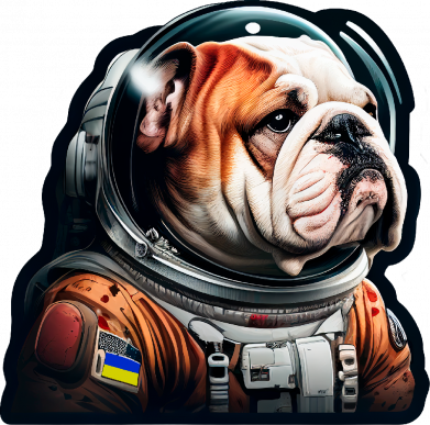 Штаны Бульдог космонавт 2