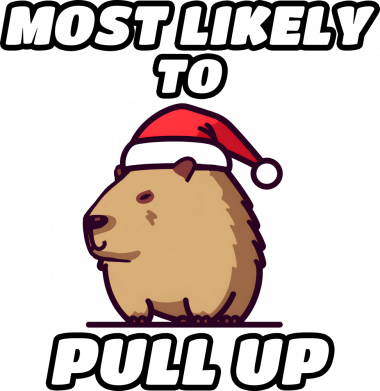 Мужские носки Капибара Ok I Pull up 2