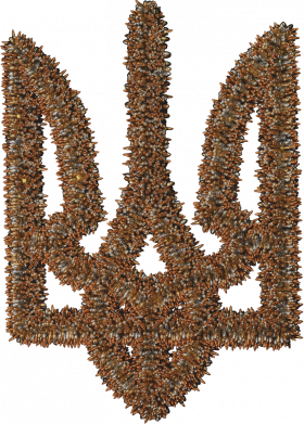 Детская футболка поло Герб Украины с патронов 2