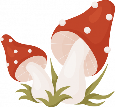 Детская панама Грибы Мухоморы 2