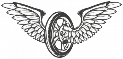 Шапка на флисе Колесо и крылья 2