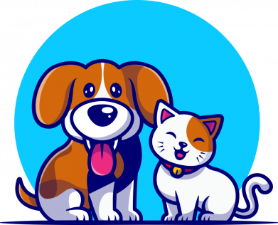 Шапка Пасик та котик 2