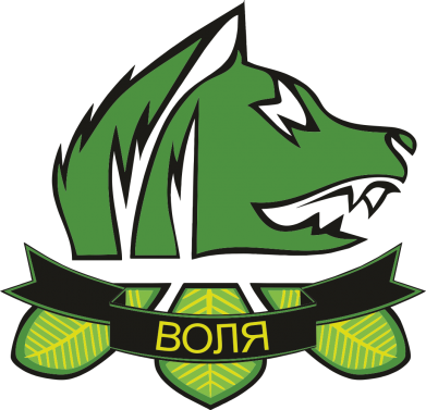 Шеврон щит Свобода 2