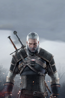 Принт Чохол для Xiaomi Pocophone F1 The Witcher 3, Фото № 2 - FATLINE