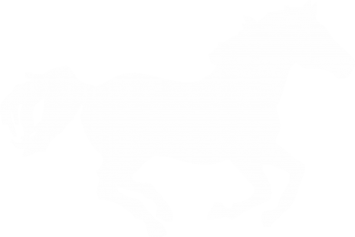 Бутылка металлическая Jumbo Лошадка 2