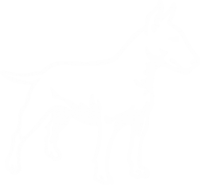 Худи оверсайз Бультерьер 2