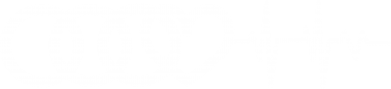 Худи премиум женская Audi heart rate 2