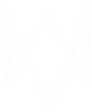 Жіночі труси Graffiti Watch Dogs logo 2