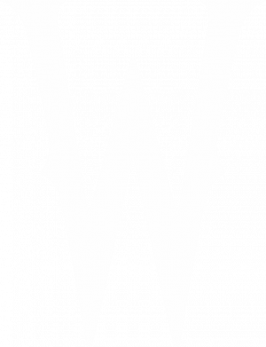 Чоловіча футболка Stedman Wednesday ініціали 2