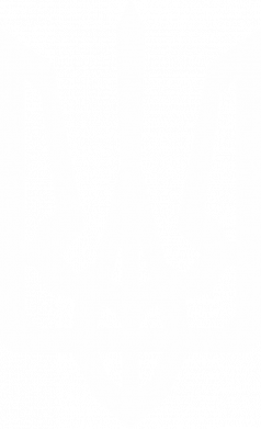 Термоз для їжі Trident with curved lines 2