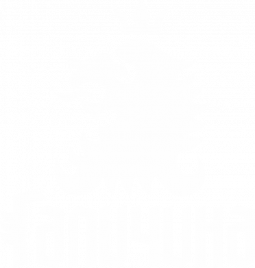 Жіноча футболка Лев і Галичина 2