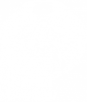 Футболка преміум жіноча FATLINE Scandinavian pattern with raven 2