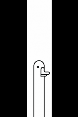 Чехол из раздела Птицы Goose black and white для Xiaomi Poco X4 Pro 5G 2