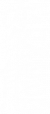 Жіноча футболка HN (JAP) 2