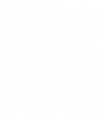 Чоловіча футболка Stedman Portrait Horse outline 2