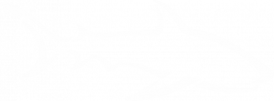 Женская футболка Shark minimalism 2