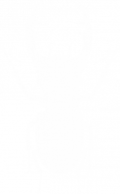 Чехол из раздела Жук Bugs silhouette для Xiaomi Redmi 7A 2