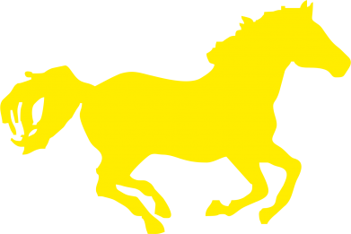 Чоловіча футболка Stedman Конячка 2