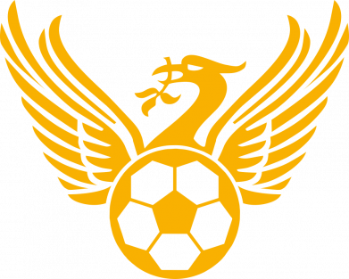 Мужская футболка Stedman Liverpool and soccer ball 2