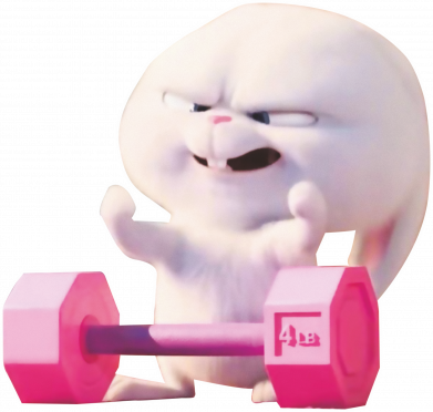 Жіноча футболка Кролик та гантеля 2