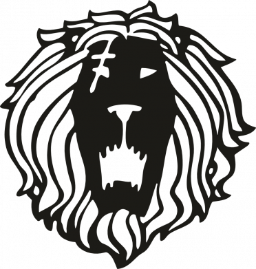 3D Полотенце Знак Льва Эсканора 2