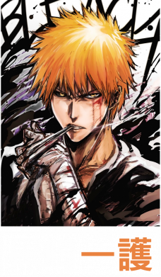 Штаны 黒崎一護 2