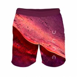 3D шорты мужские спортивные D U N E - FATLINE 3D шорты мужские спортивные D U N E