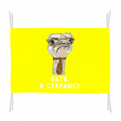 Прапори - FATLINE