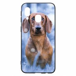 Чехол из раздела Собака Beautiful dachshund для Samsung A40 - FATLINE Чехол из раздела Собака Beautiful dachshund для Samsung A40