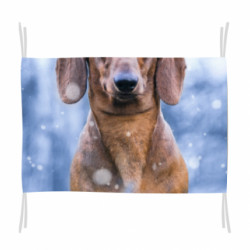 Флаг Beautiful dachshund - FATLINE Флаг Beautiful dachshund