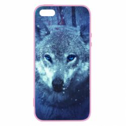 Чехол из раздела Волк Blue-eyed wolf для Apple iPhone 5